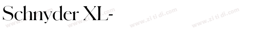 Schnyder XL字体转换